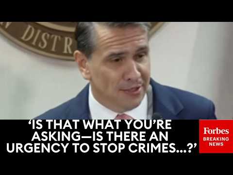 WATCH: Blanche Spars With Reporter Amid Questions About Timing Of Louise Lucas Charges Near Election Episode cover