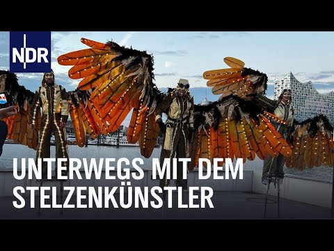 Auf Stelzen über Hamburg | Die Nordreportage | NDR Doku