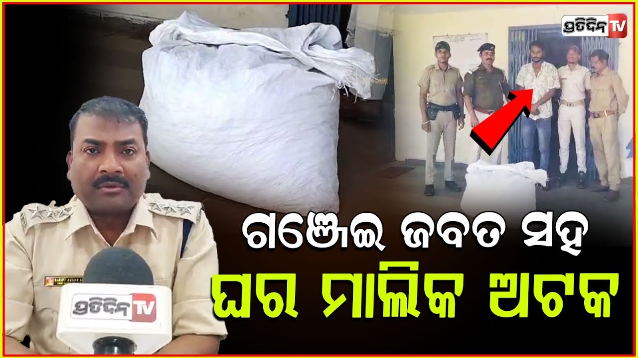 ୫୦ ଟି କାଜୁ ବସ୍ତା ଭିତରେ ଲୁଚାଇ ରଖିଥିଲେ , ୨୫୦ କେଜି ଗଞ୍ଜେଇ। 250 KG Ganja Seized in Koraput .
