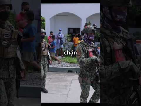 Pháo Đài Container  Thái Lan Đang Chuẩn  2025 10 11