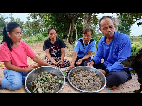 แกงเห็ดปลวกไก่น้อย-ซดน้ำหวานๆ- แกงเห็ดปลวกไก่น้อย-ซดน้ำหวานๆ-