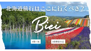 【北海道 】美瑛の絶景旅🌈 四季彩の丘＆青い池が本当にすごかった