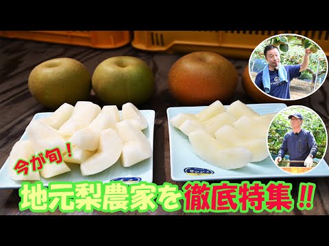 ふなばし　夏の風物詩「なし」定番から珍しい品種まで ふなばしの「なし」を紹介！