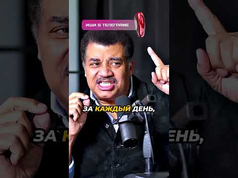 Секрет счастья собак раскрыт!