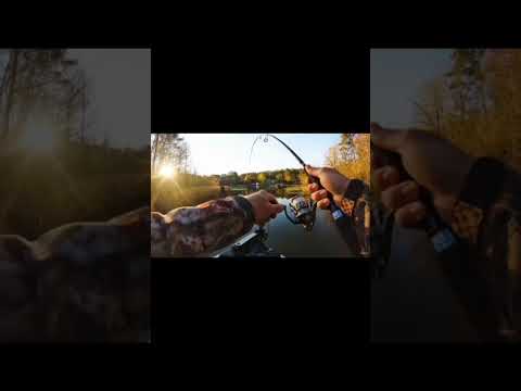 kya hai bhai pani me #reels #reelscreator #uploadyoutubeshorts #fishingvideo #trendingshorts