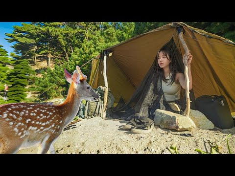 야생사슴이 사는 섬에서  솔로캠핑🦌🏝️ / 🔥만두 삽구이+🍺 / 자연산 홍합구이와 생미역뽀글이 / 야생캠핑