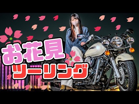 【バイク女子】お花見ツーリングしてみたが…