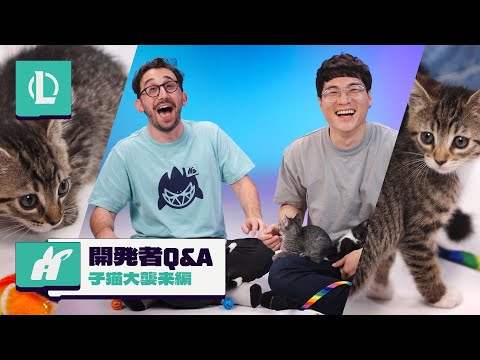 開発者Q&A - 子猫大襲来編 | リーグ・オブ・レジェンド