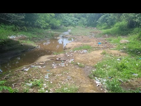 Problemas por contaminación de ríos con plásticos