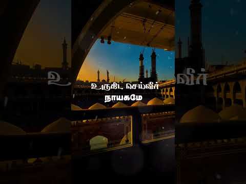 ஏதேனும் கஷ்டங்கள் தீராத சபலங்கள் || #tamilislamicsong #tamil  #lyrics #athayinaatchannel