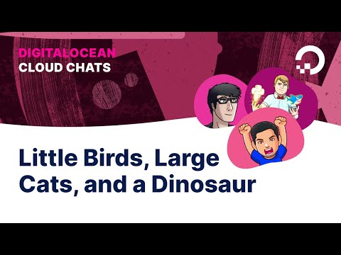 Little Birds, Large Cats, and a Dinosaur | Cloud Chats: Episode 7