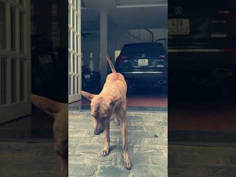 Tao hiền nhưng ghét là tao chơi tới