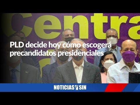 PLD decide hoy cómo escogerá precandidatos presidenciales