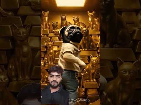 The cat on the banana plane destroyed the apple tank built by the poor pug and his puppy 🍏#funny