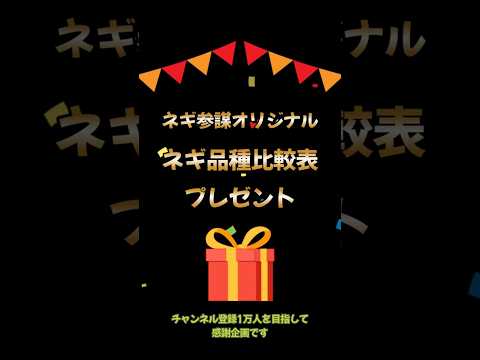 ネギ農家さんへ|品種比較表プレゼント