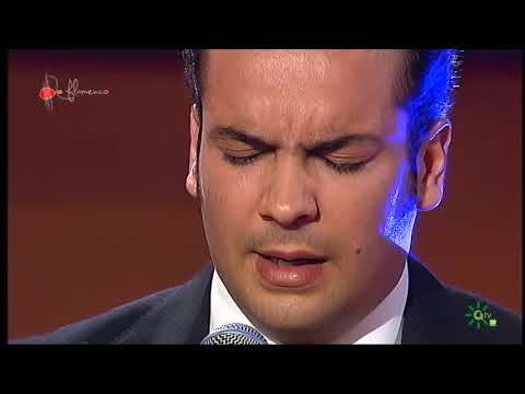 Seguiriya. Jesús Méndez. 2013