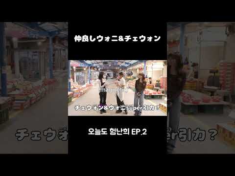 なんかめっちゃ仲いいじゃん! #트리플에스 #triples #チェウォン #コトネ #아일릿 #illit #ウォニ #ウォンヒ