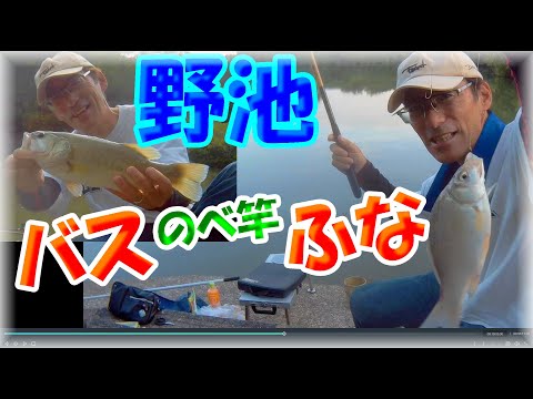 【悲報・のべ竿でブラックバス？】ヤバい！奈良の野池で、また悲劇が・・・ロッドとリール返して～！！(^^;)ヘラブナ・小鮒・ブルーギル・小バス・小鯉・亀、五目釣りになっちゃったなぁ～マルキュー・芯華
