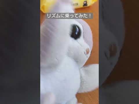 リズムに乗ってみたよ〜!