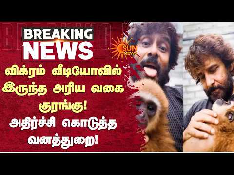 விக்ரம் வீடியோவில் இருந்த அரிய வகை குரங்கு! அதிர்ச்சி கொடுத்த வனத்துறை! | Actor Vikram | Sun News