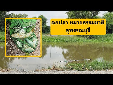 ตกปลาหมายธรรมชาติสุพรรณบุรี