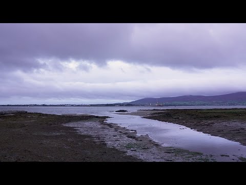 From Dark till Dawn: Wake up in Northern Ireland | Relax With Nature | BBC Earth