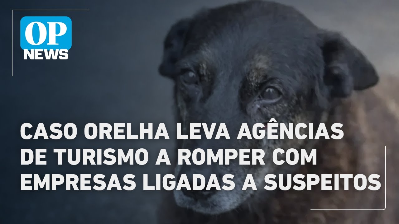 Caso Orelha leva agências de turismo a romper parcerias com empresas ligadas a suspeitos | OP News