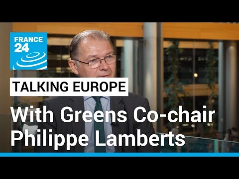 Without serious public money, the green transition won't happen: EU Greens chief Lamberts