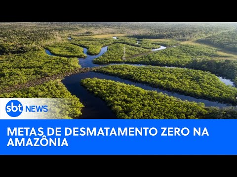 STF cobra do governo plano para controlar o desmatamento na Amazônia| #SBTNewsnaTV (15/03/24)