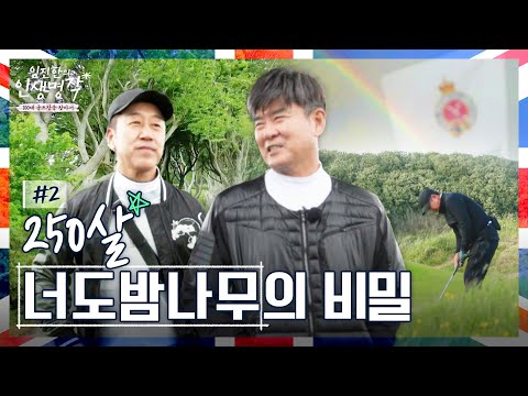 [임진한의 인생명작] 250살 너도밤나무가 오롯이.. 아일랜드 로열 포트러시에서 골프 본연의 라운드 #2