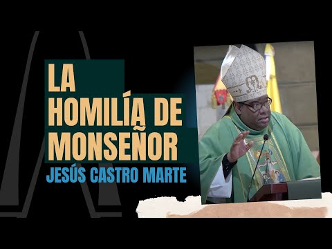 Homilía Mons. Jesús Castro de Santa Misa · 6º Domingo del Tiempo Ordinario I  11-2-24 ·