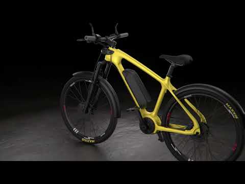 Carbon Fiber electric bicycle Denzel Alta.