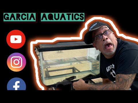 A fish keeper’s surprise (what is it??) So my bro in the fish hobby brother Berto ​⁠@garciaaquatics calls me up to tell me he’s got a 