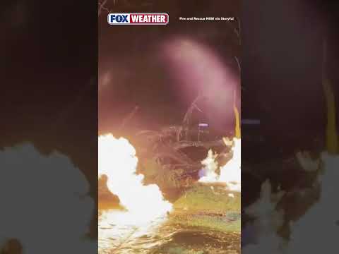 Watch: Lightning Strike In New South Wales Causes Fire, Explodes Tree, Ruptures Gas And Water Main