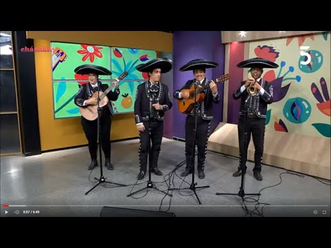 Los mariachis Fernández, cantaron en vivo en #BastaDeCháchara l 14-02-2024