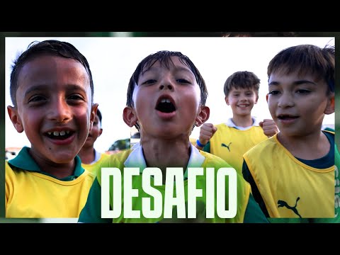 image para ilustrar o artigo