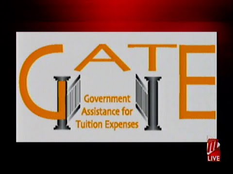 MoE Advises Of Interruption Of Gate E-Service
