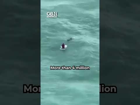 Hurricane Milton: 16 people dead as clean up continues