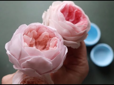 Austin Rose , Product Demo, Wallis Veiners