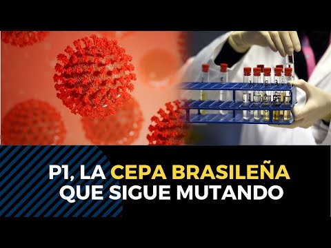 Variante brasileña del coronavirus P1, sigue mutando y se hace más peligrosa