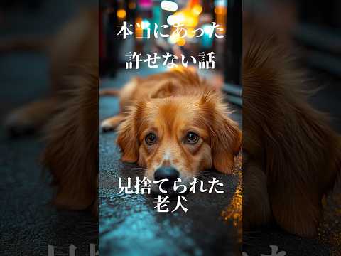【實話】見捨てられた老犬