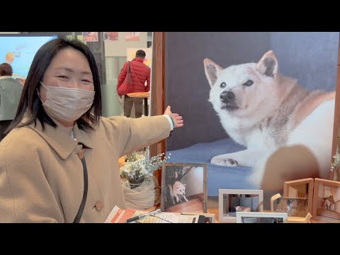 柴犬あいたん、永遠のライバルの写真展に行ってきました