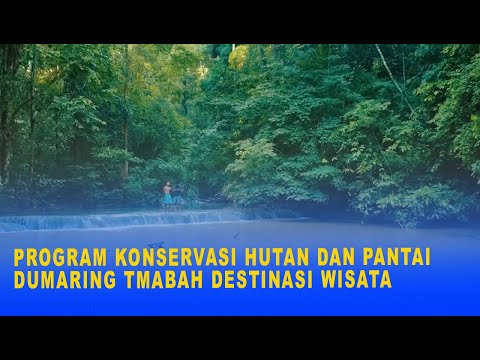 PROGRAM KONSERVASI HUTAN DAN PANTAI DUMARING TAMBAH DESTINASI WISATA