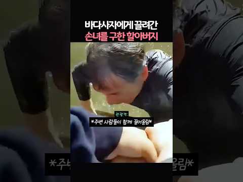 바다사자에게 끌려간 <strong>손녀를</strong> 구한 할아버지