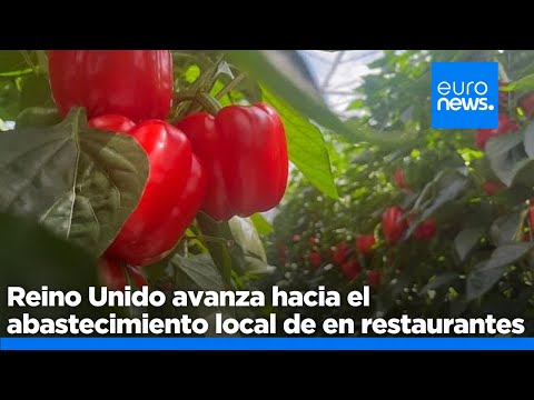 El restaurante londinense que cocina con ingredientes cultivados a 60 km en una granja ecológica