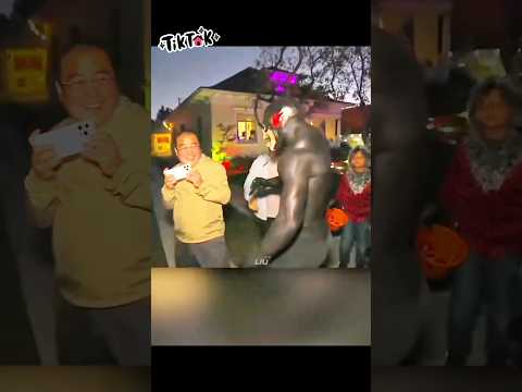 Ou wê aksyon speed 🙆♂️😂😂😂