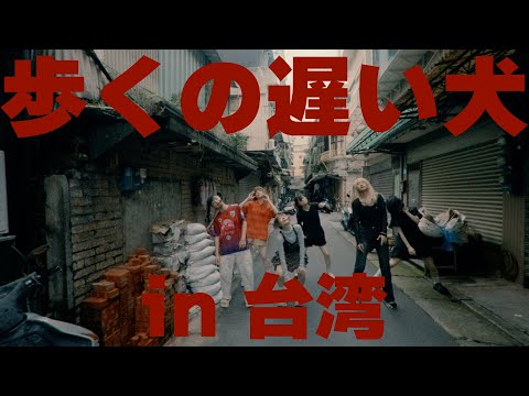 【短尺版】ゆるめるモ!が台湾で「歩くの遅い犬」を踊ってみた【セルフリメイク】