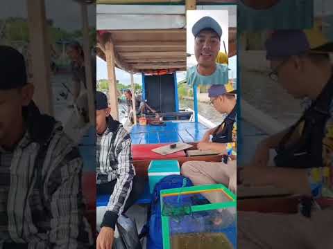 #mancingmania #selaluBerkarya