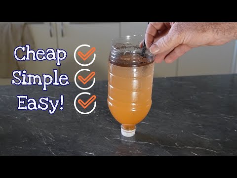 How to Hatch Brine Shrimp In A Bottle! Beginner Qu G'day viewers! This is the easiest way I have found to hatch baby brine shrimp without any expensive