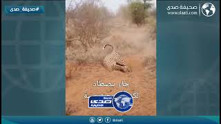 انقلب السحر على الساحر